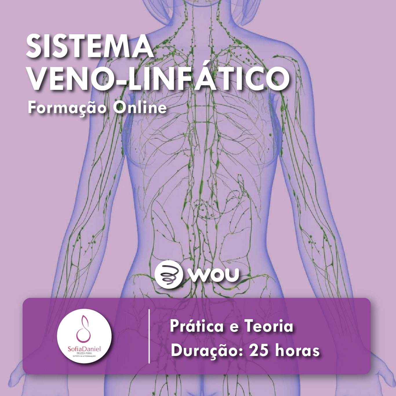 Formação Online Sistema Veno-Linfático