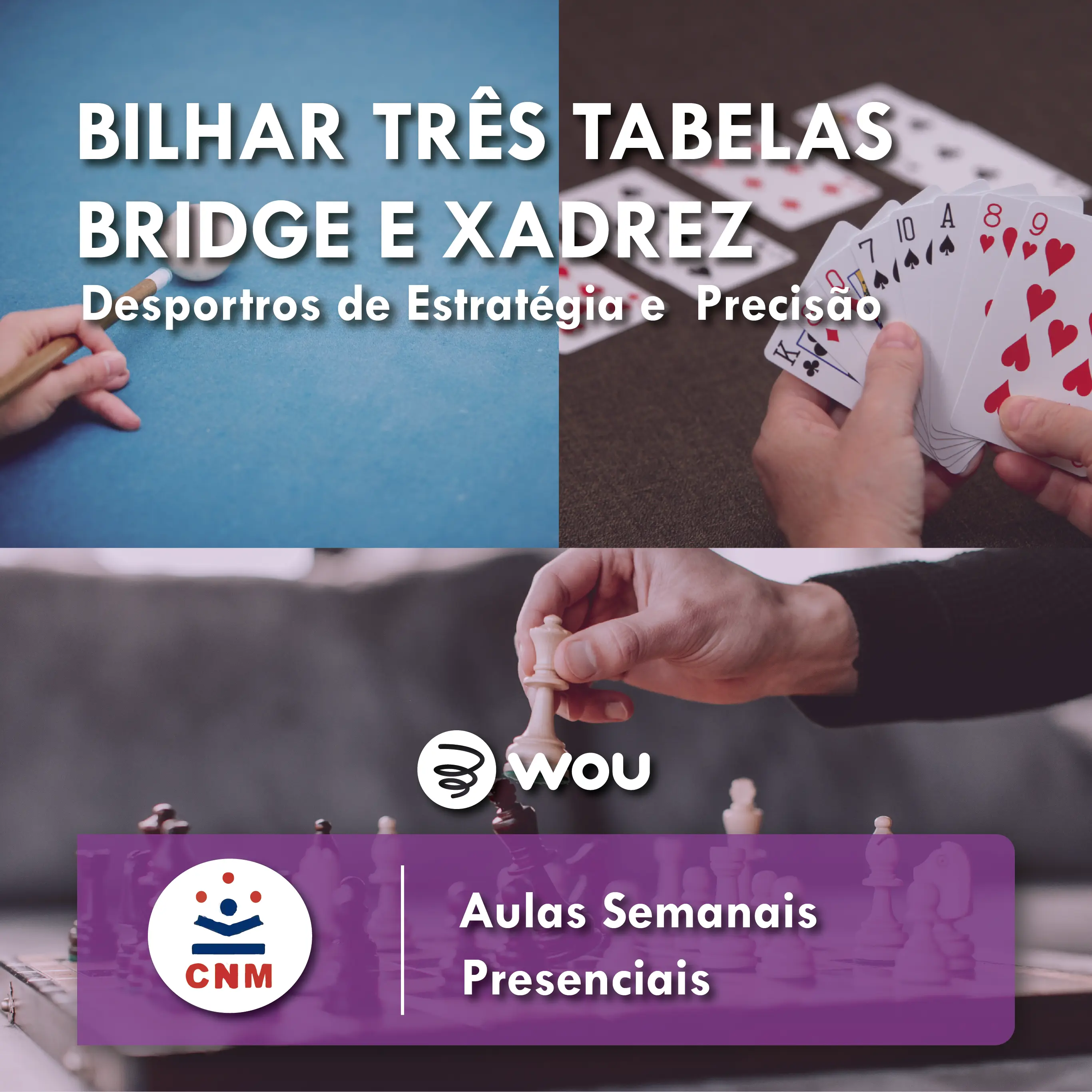 Three Table Billiards, Chess and Bridge Classes in Coimbra