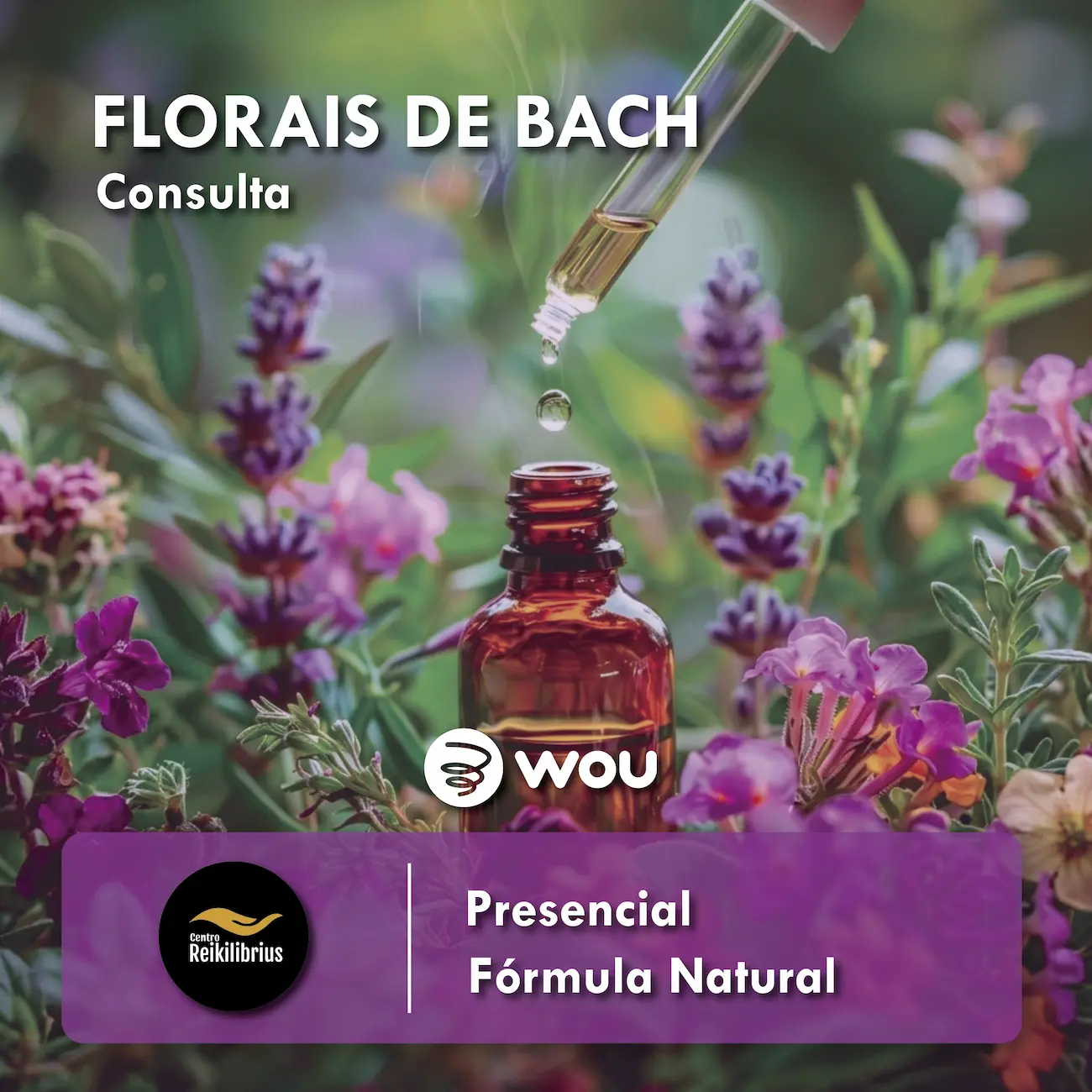 Consulta de Florais de Bach em Aveiro