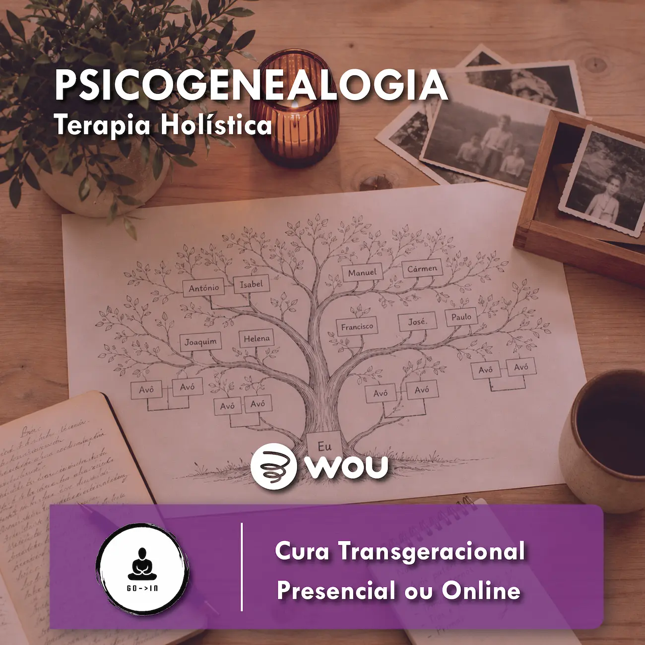 Psychogenealogy Consultation in Gondomar
