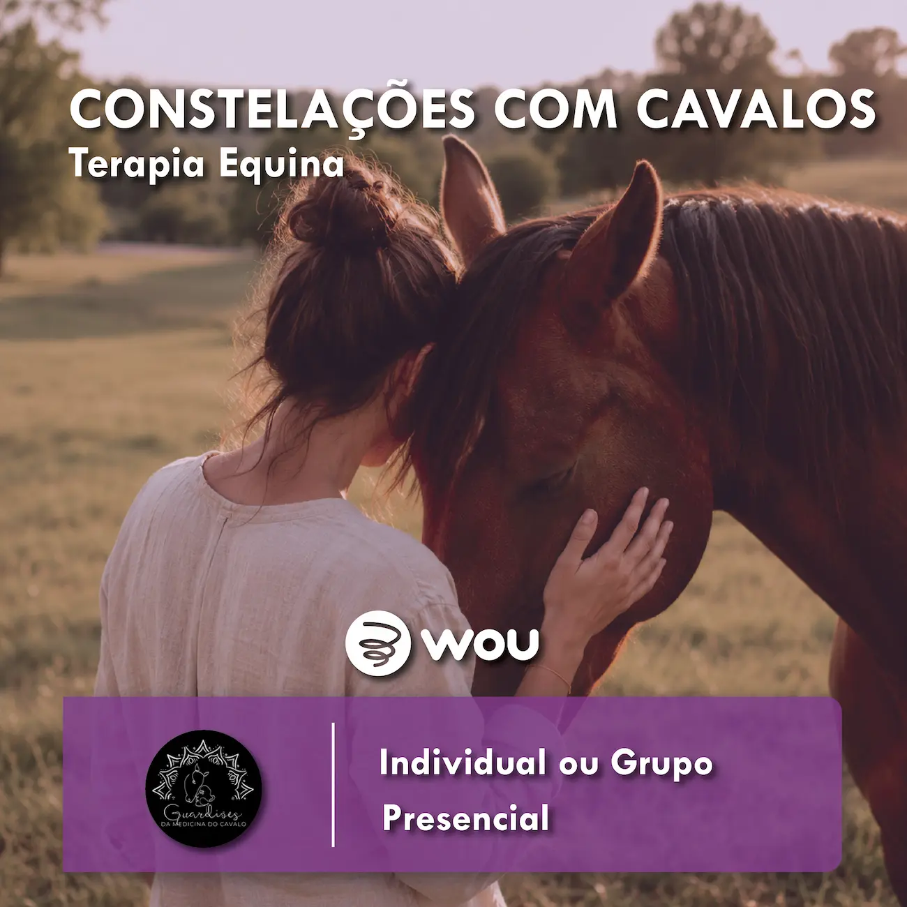 Family Constellations with Horses in Oliveira de Azeméis